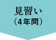 見習い（4年間）